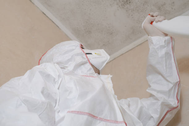 Mold Remediation for Vacation Homes in Airport, CA